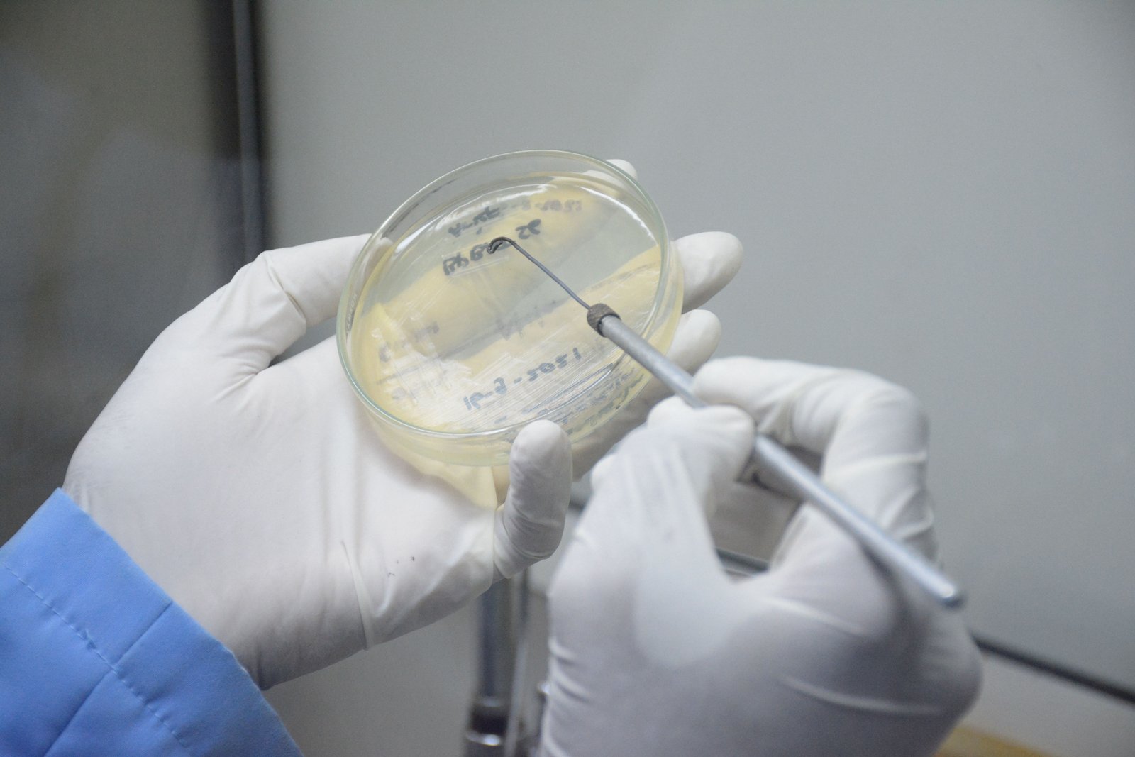 Kegiatan Laboratorium BPBAT Sungai Gelam